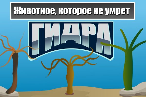 Ссылка на кракен тор браузер