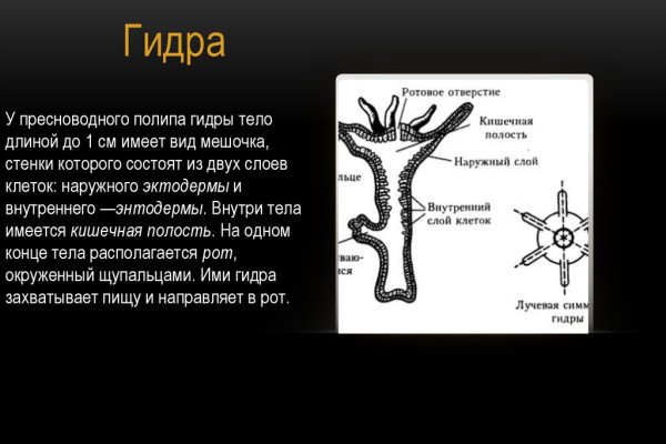 Забыл пароль кракен